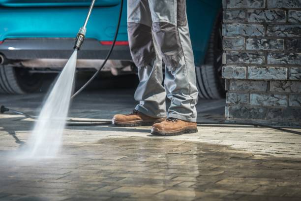 Best Pre-Holiday Cleaning  in Baxter, MN